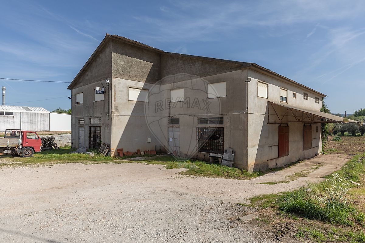 Armazém para venda