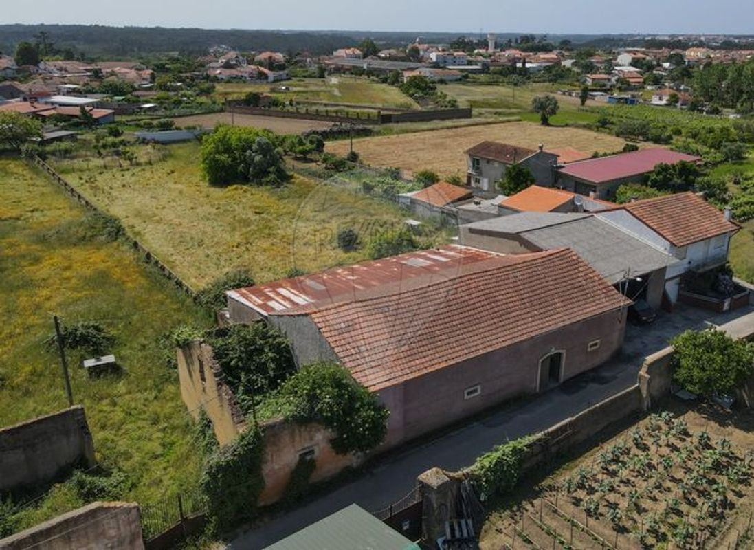Armazém para venda