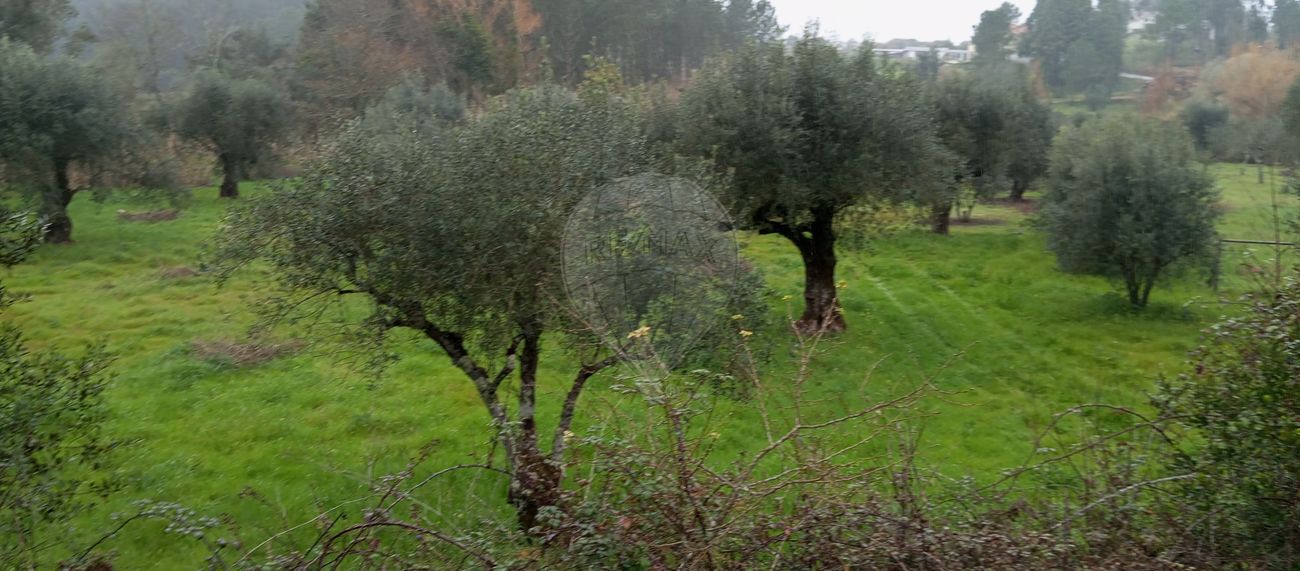 Terreno para venda