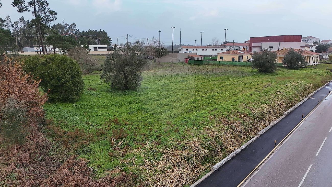 Terreno - Seixo de Gatões, Montemor-o-Velho, Coimbra