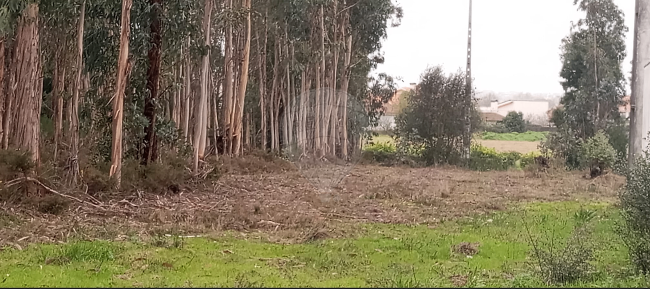 Terreno à venda em Mealhada