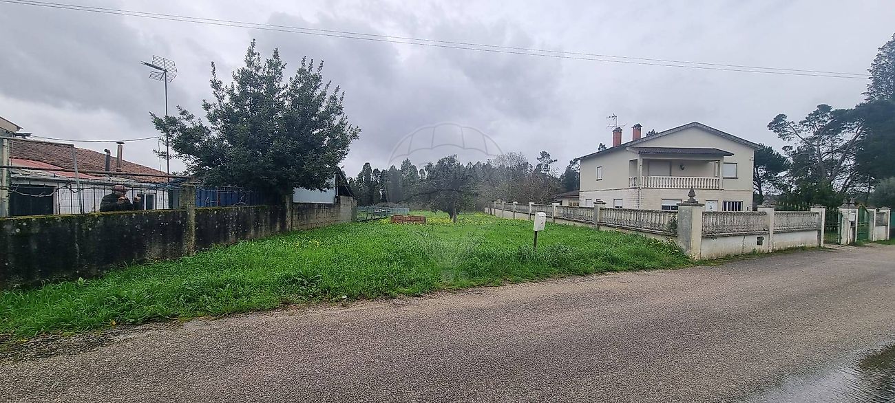 Terreno - Vacariça, Mealhada, Aveiro