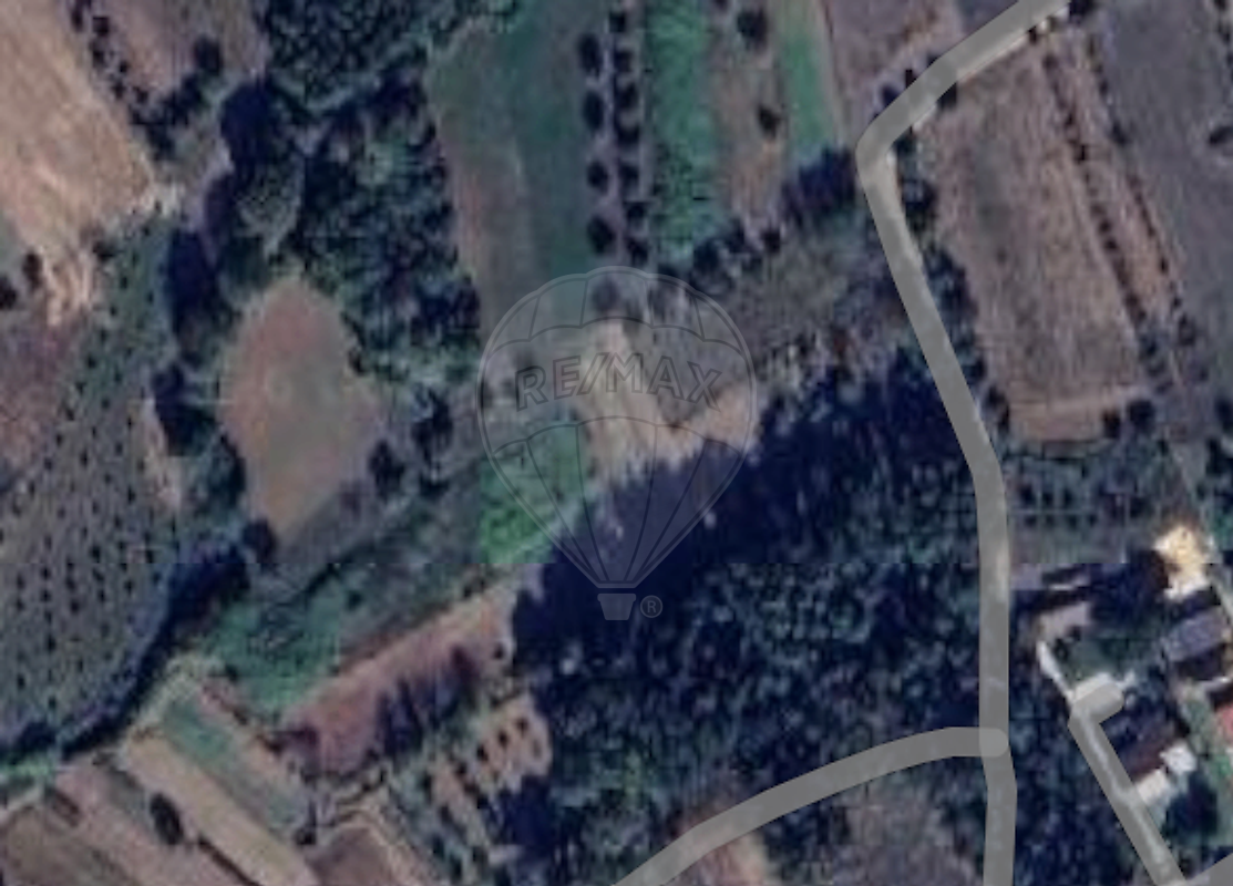 Terreno - Avelãs de Cima, Anadia, Aveiro