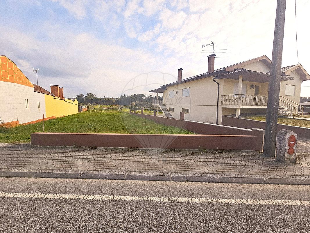 Terreno - Febres, Cantanhede, Coimbra
