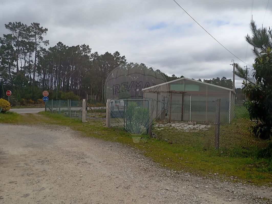 Outros - Comercial - Cadima, Cantanhede, Coimbra