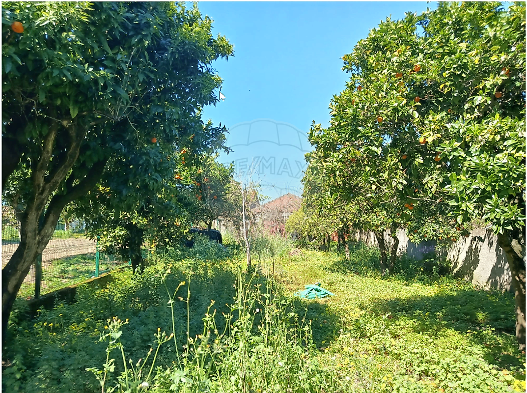 Moradia T6+ à venda em Barcouço, Mealhada — foto 31