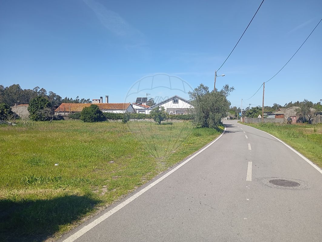 Terreno - Sanguinheira, Cantanhede, Coimbra