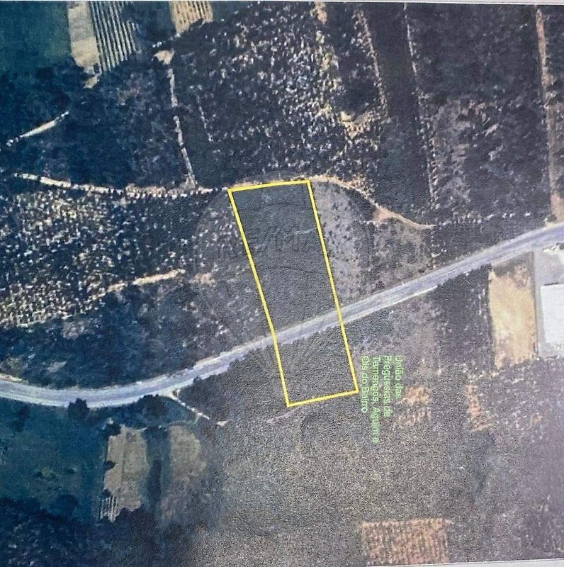 Terreno - Tamengos, Aguim e Óis do Bairro, Anadia, Aveiro