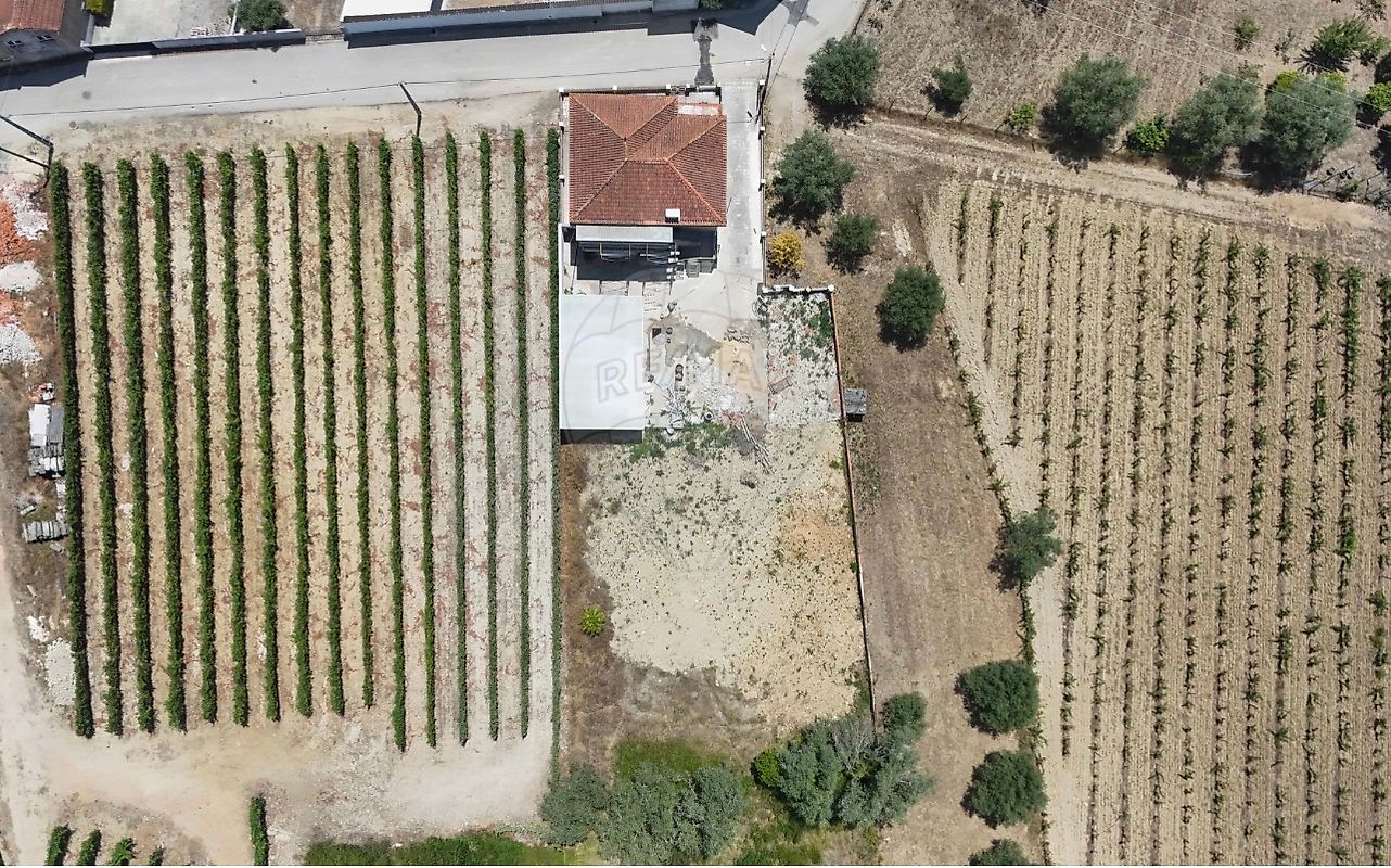 Apartamento T3 à venda em Tamengos, Aguim e Óis do Bairro, Anadia — foto 16