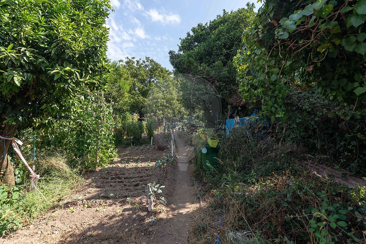 Moradia T3 à venda em Moita, Anadia — foto 25