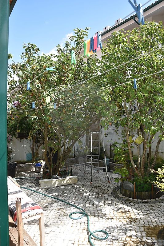 Moradia T4 à venda em Mealhada, Ventosa do Bairro e Antes, Mealhada — foto 39