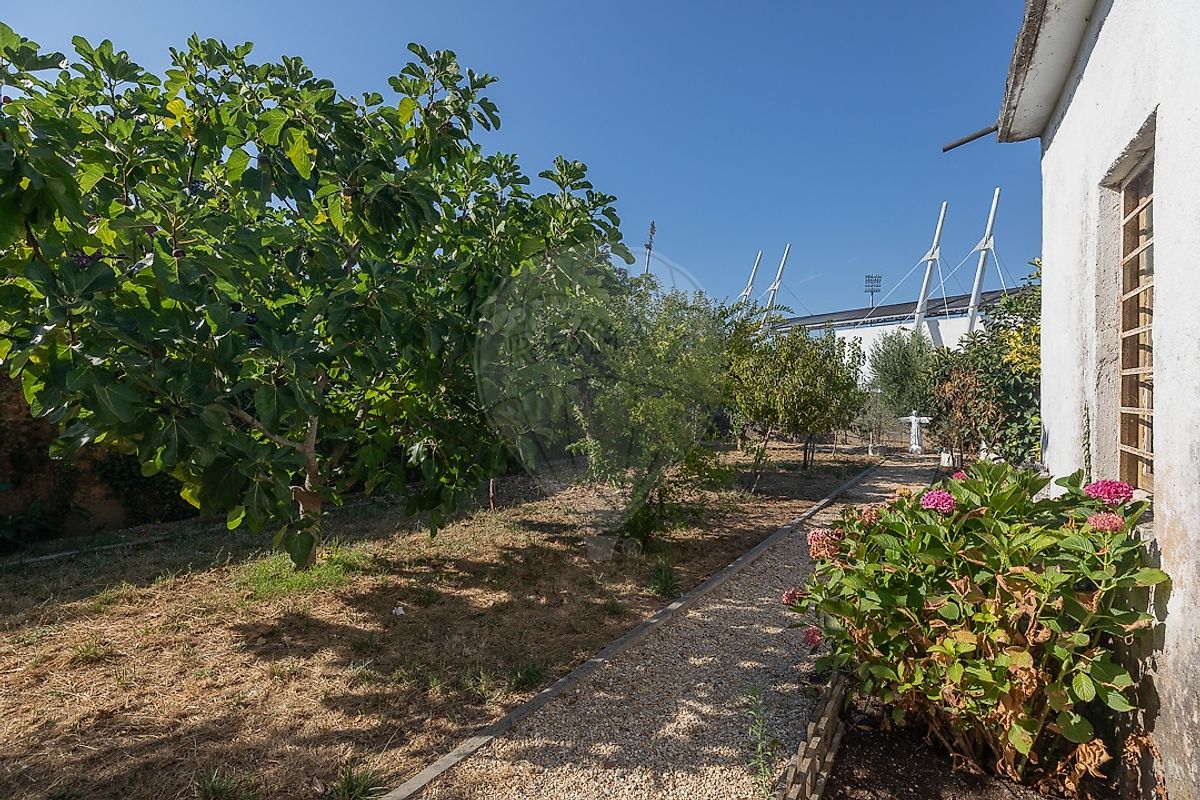 Moradia T6+ à venda em Águeda e Borralha, Águeda — foto 40