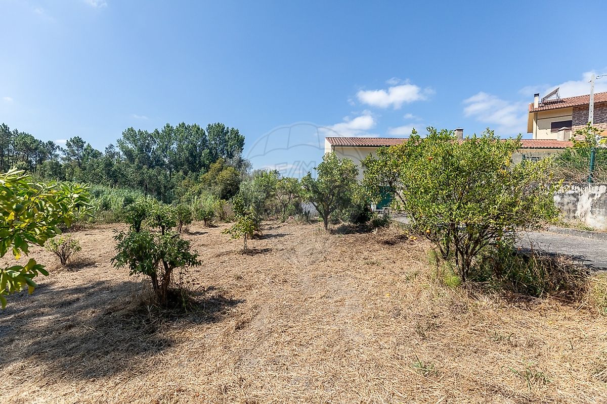 Moradia T3 à venda em Barcouço, Mealhada — foto 36