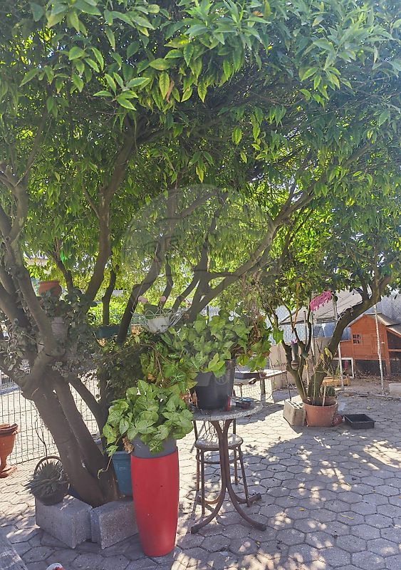 Apartamento T3 à venda em Mealhada, Ventosa do Bairro e Antes, Mealhada — foto 8