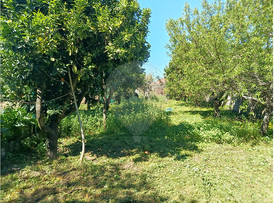 Moradia T6+ à venda em Barcouço, Mealhada — foto 33