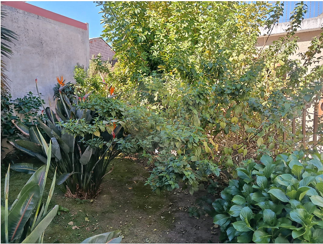 Moradia T6+ à venda em Barcouço, Mealhada — foto 27