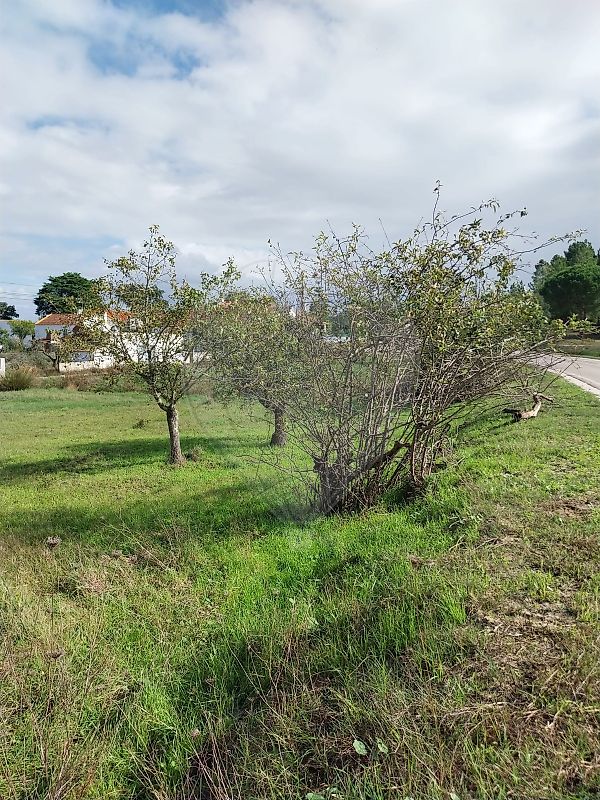 Terreno para venda