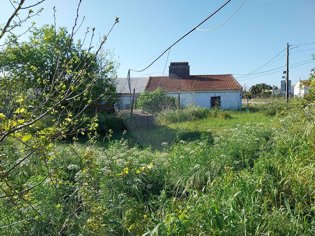 Quinta - Nossa Senhora da Vila, Nossa Senhora do Bispo e Silveiras, Montemor-o-Novo, Évora