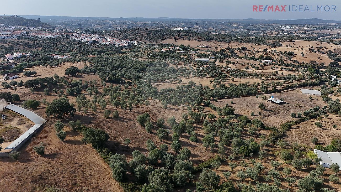 Quinta  à venda em Montemor-o-Novo