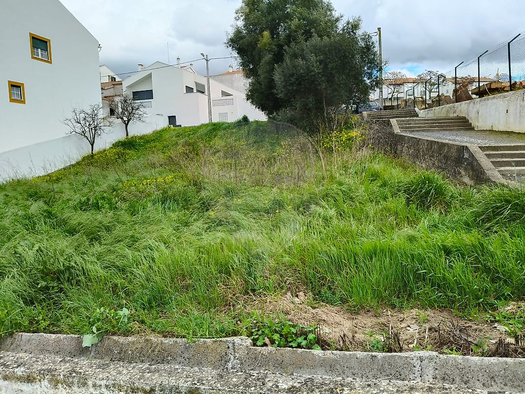 Terreno em Montemor-o-Novo