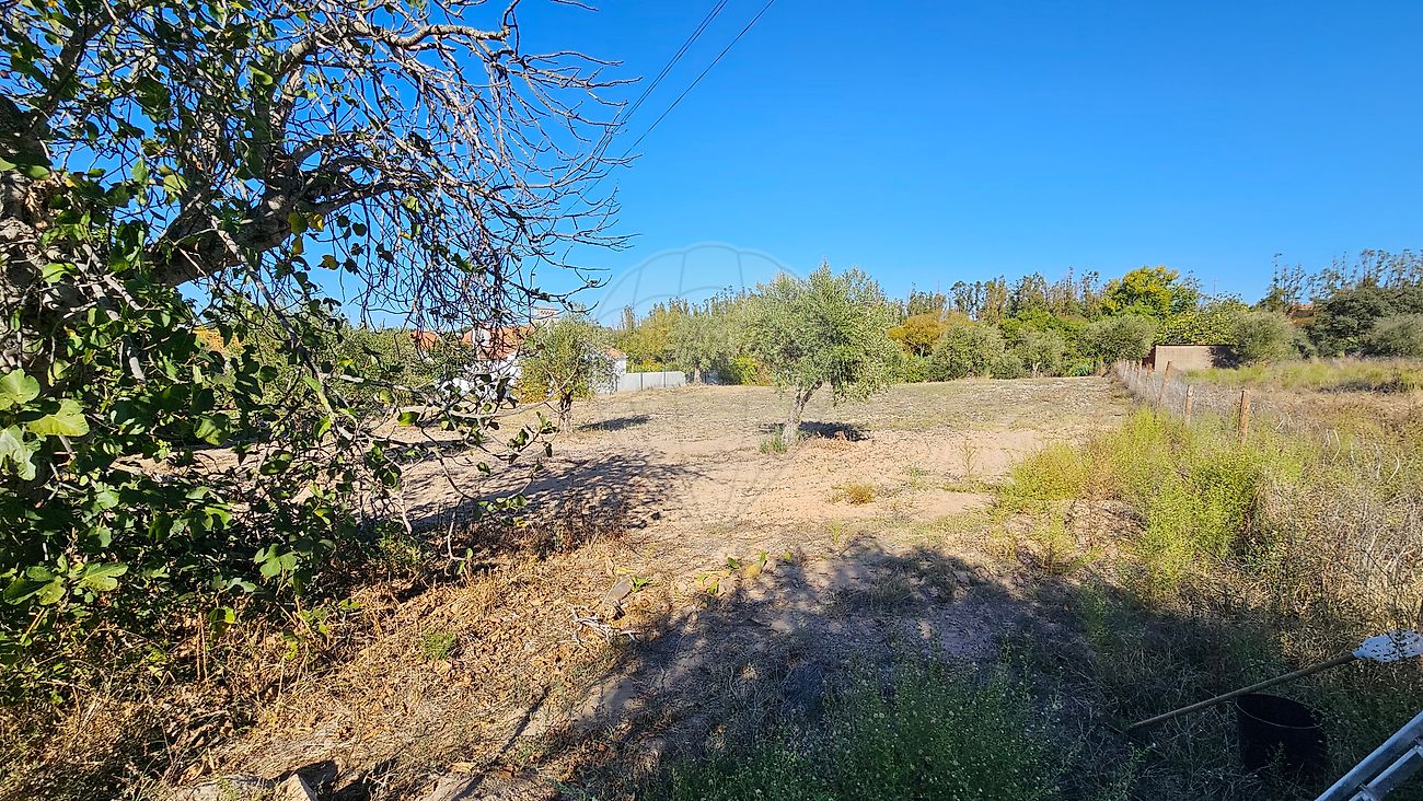 Moradia T2 à venda em Ciborro, Montemor-o-Novo — foto 34