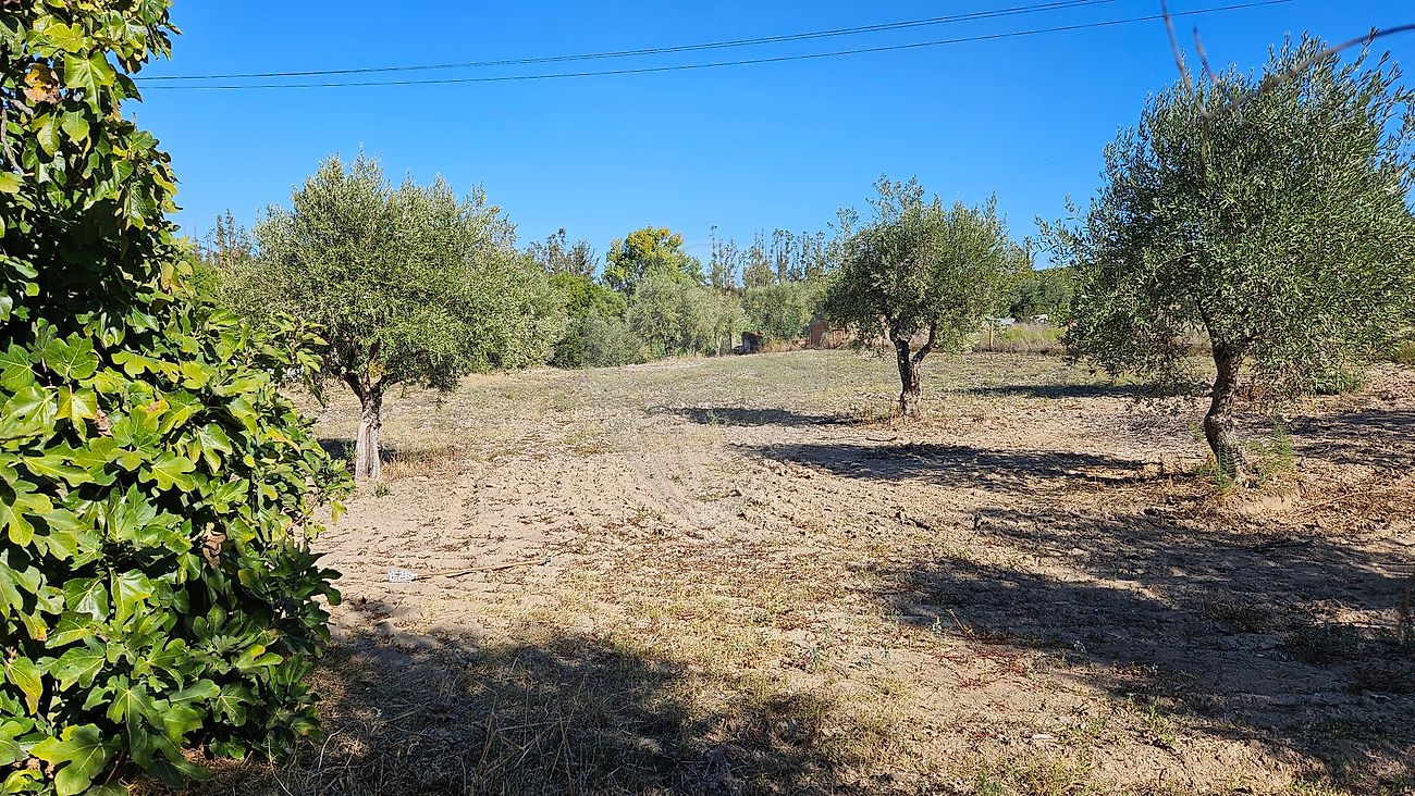Moradia T2 à venda em Ciborro, Montemor-o-Novo — foto 33