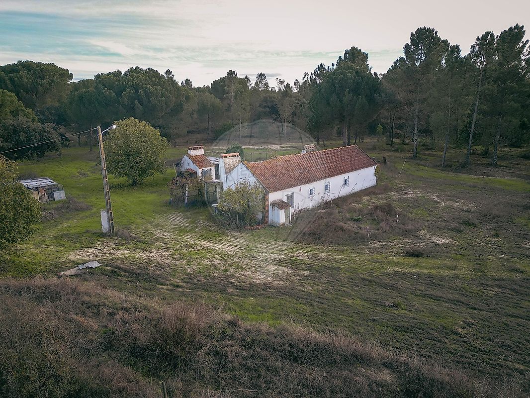 Quinta - Santana do Mato, Coruche, Santarém