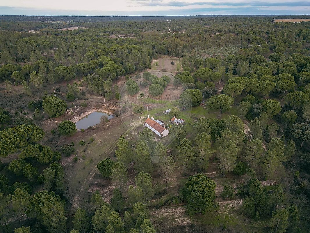 Quinta à venda em Coruche