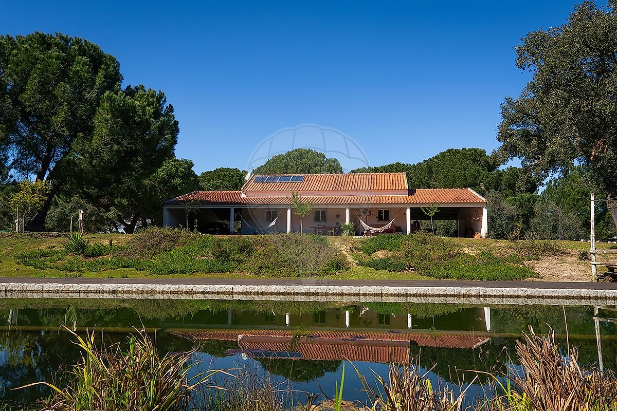 Quinta - Cortiçadas de Lavre e Lavre, Montemor-o-Novo, Évora