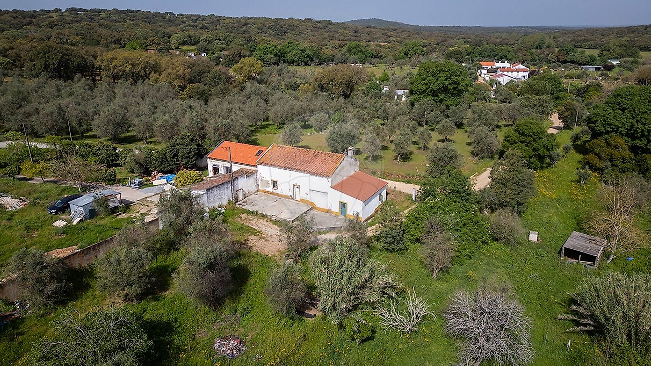 Quinta - Nossa Senhora da Vila, Nossa Senhora do Bispo e Silveiras, Montemor-o-Novo, Évora