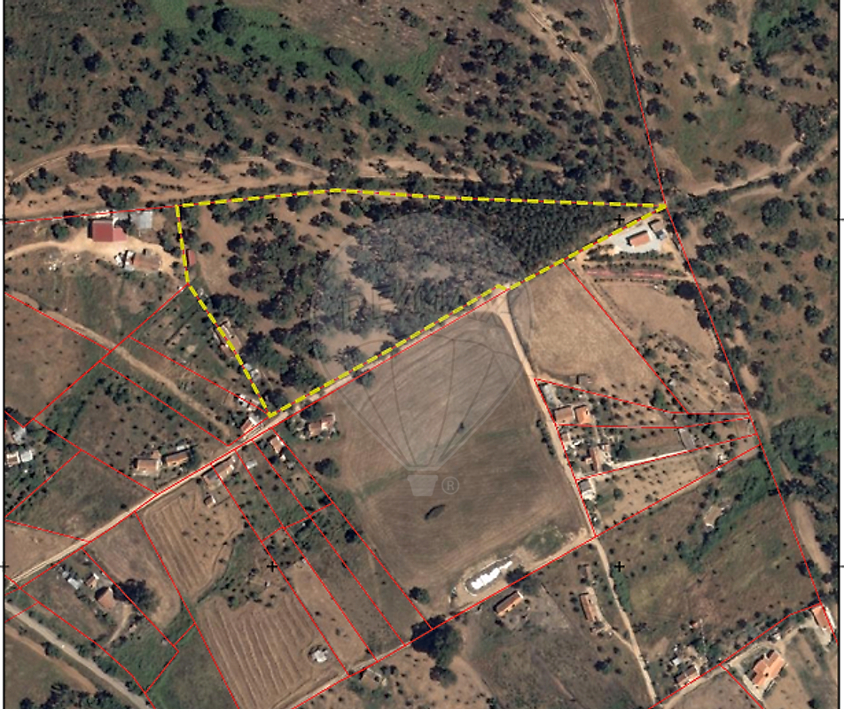 Terreno - Alcácer do Sal (Santa Maria do Castelo e Santiago) e Santa Susana, Alcácer do Sal, Setúbal