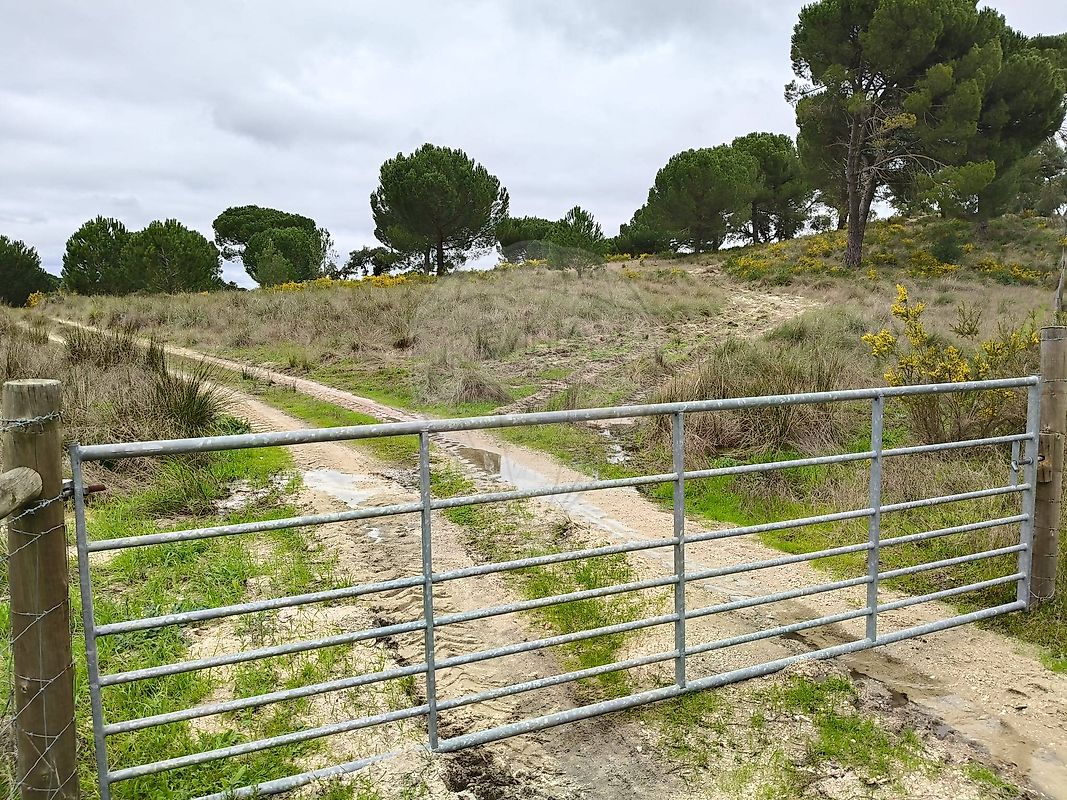 Quinta à venda em Coruche