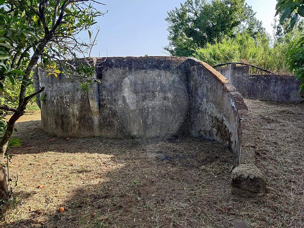 Terreno à venda em Montemor-o-Novo