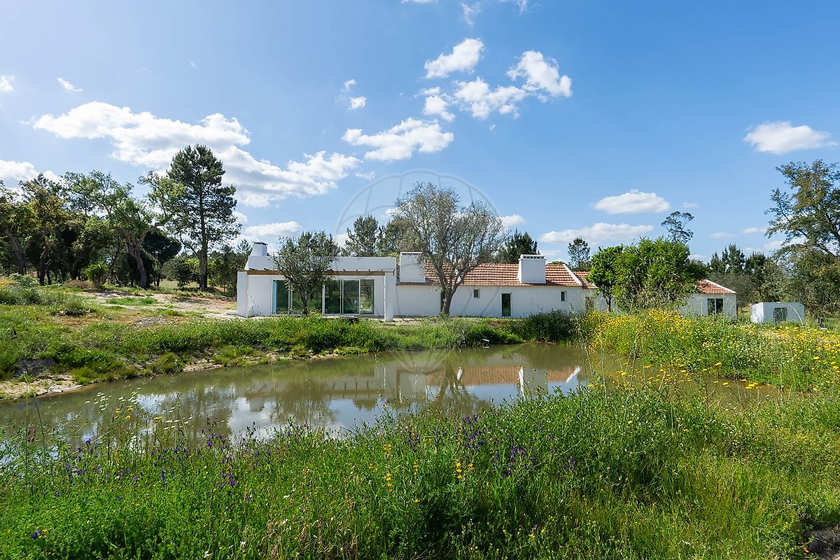 Quinta - Cortiçadas de Lavre e Lavre, Montemor-o-Novo, Évora