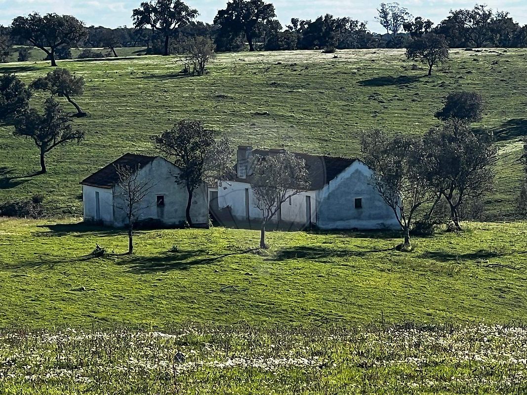 Quinta - Cabrela, Montemor-o-Novo, Évora