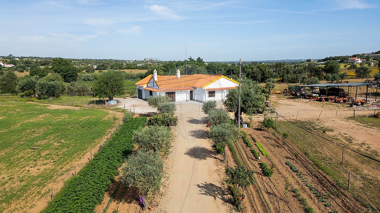 Quinta - Nossa Senhora da Vila, Nossa Senhora do Bispo e Silveiras, Montemor-o-Novo, Évora