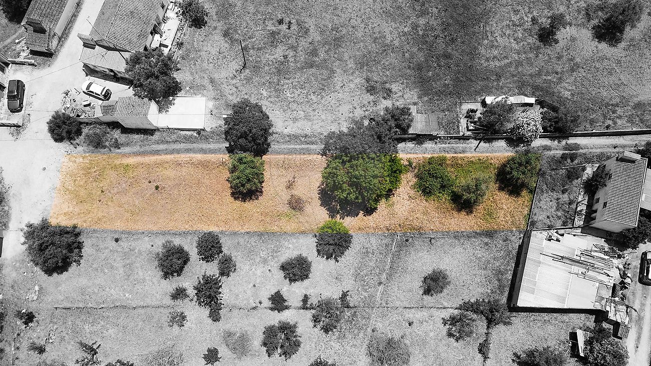Terreno - Ciborro, Montemor-o-Novo, Évora