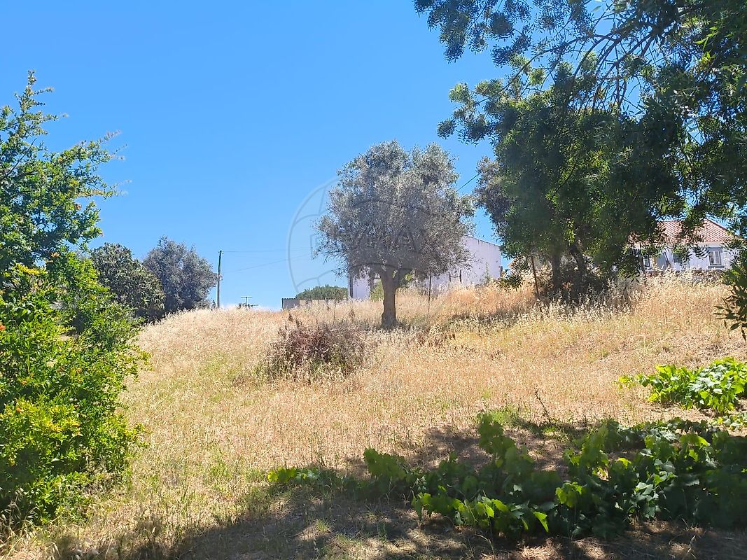 Terreno - Ciborro, Montemor-o-Novo, Évora