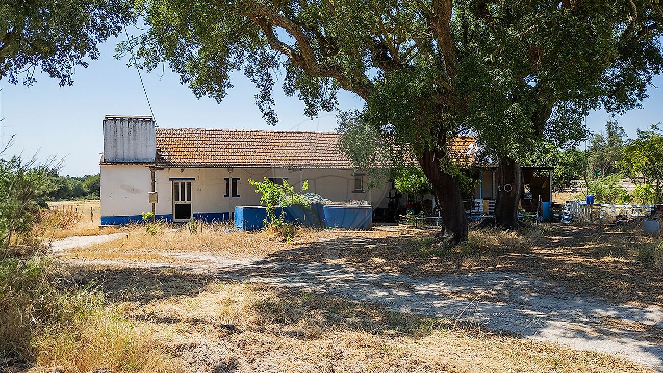 Quinta - Santana do Mato, Coruche, Santarém