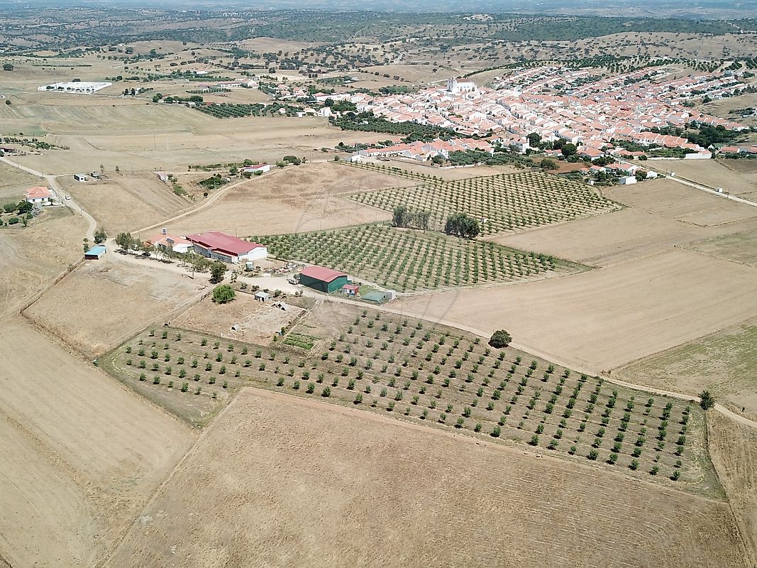 Armazém  para venda
