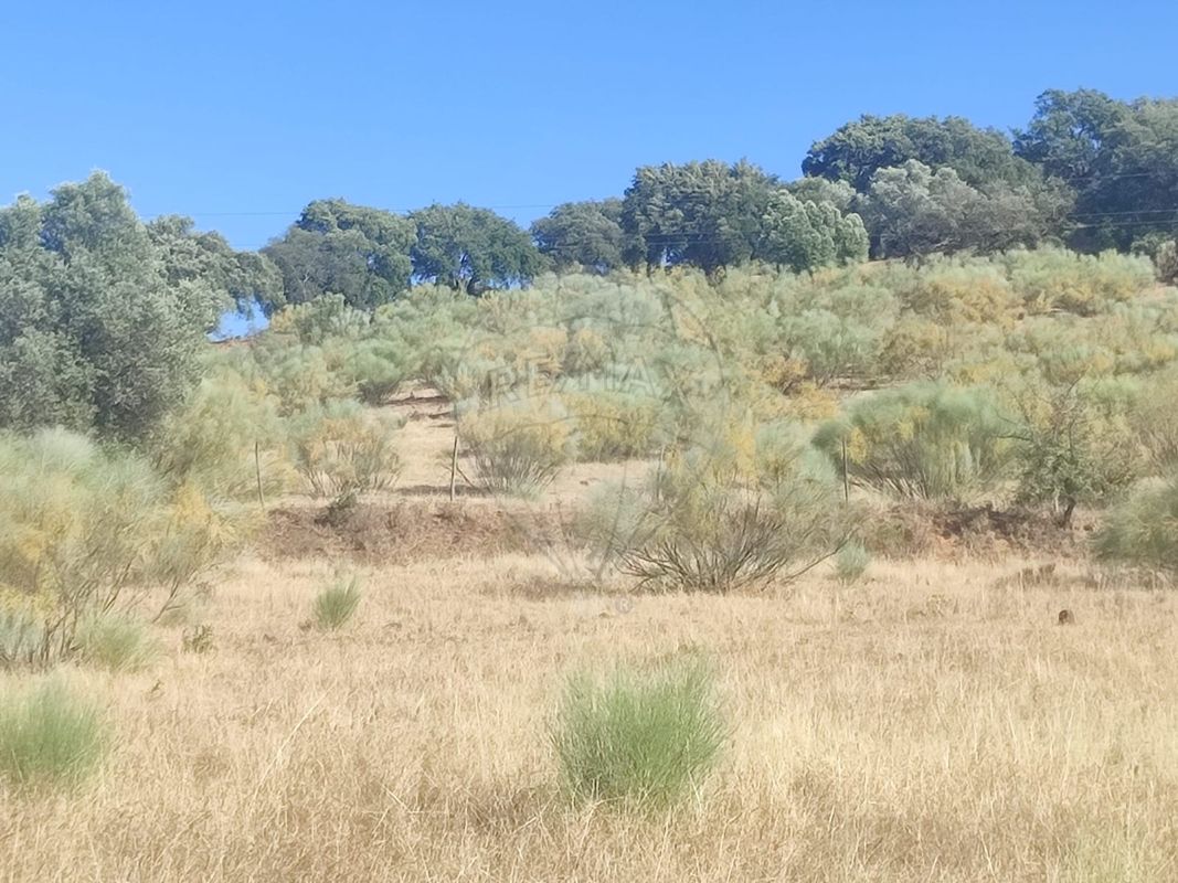 Terreno  para venda