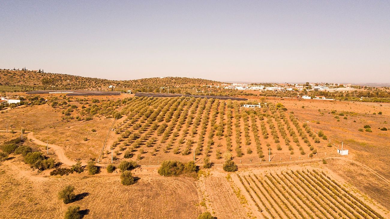 Land for sale in Serpa, Portugal — €150,000