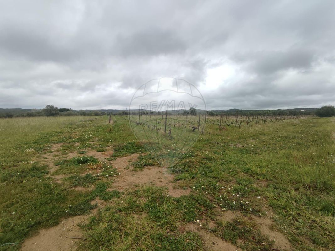 Terreno para venda