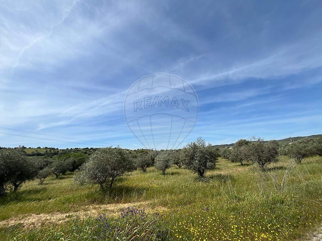 Terreno - Vidigueira, Vidigueira, Beja