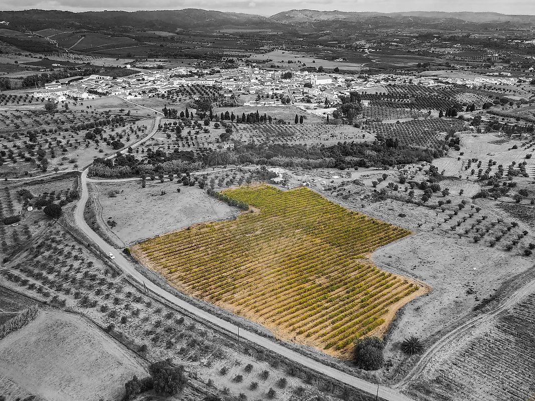 Terreno para venda