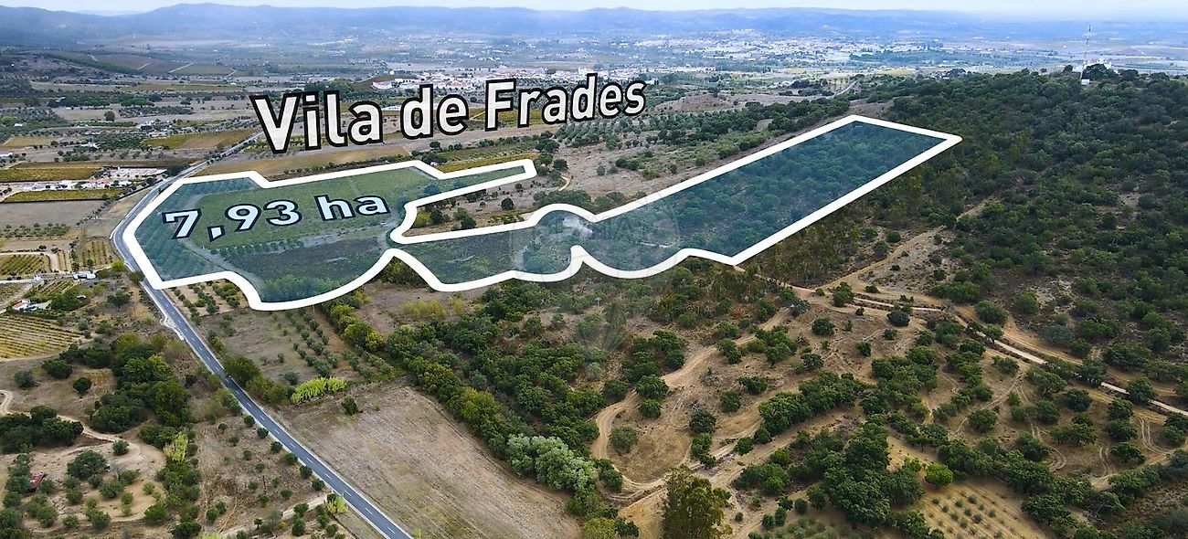 Terreno  para venda