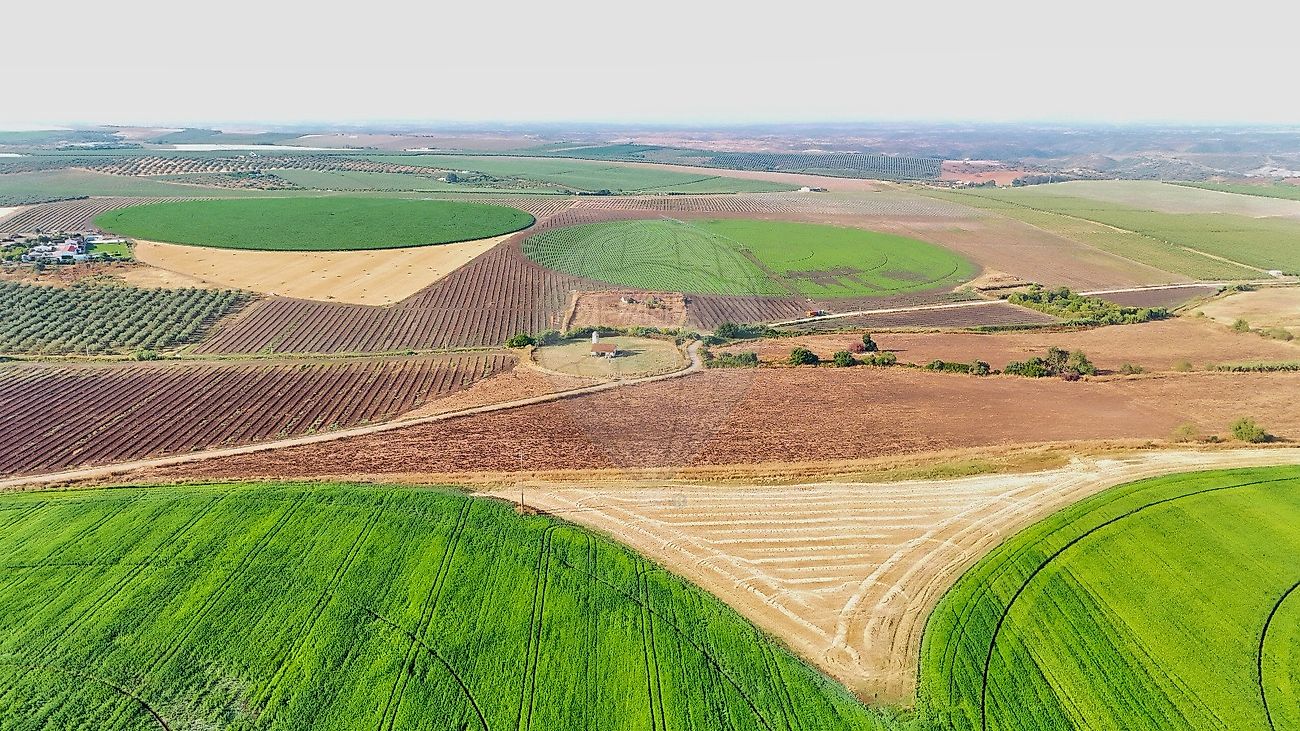 Quinta - Serpa (Salvador e Santa Maria), Serpa, Beja