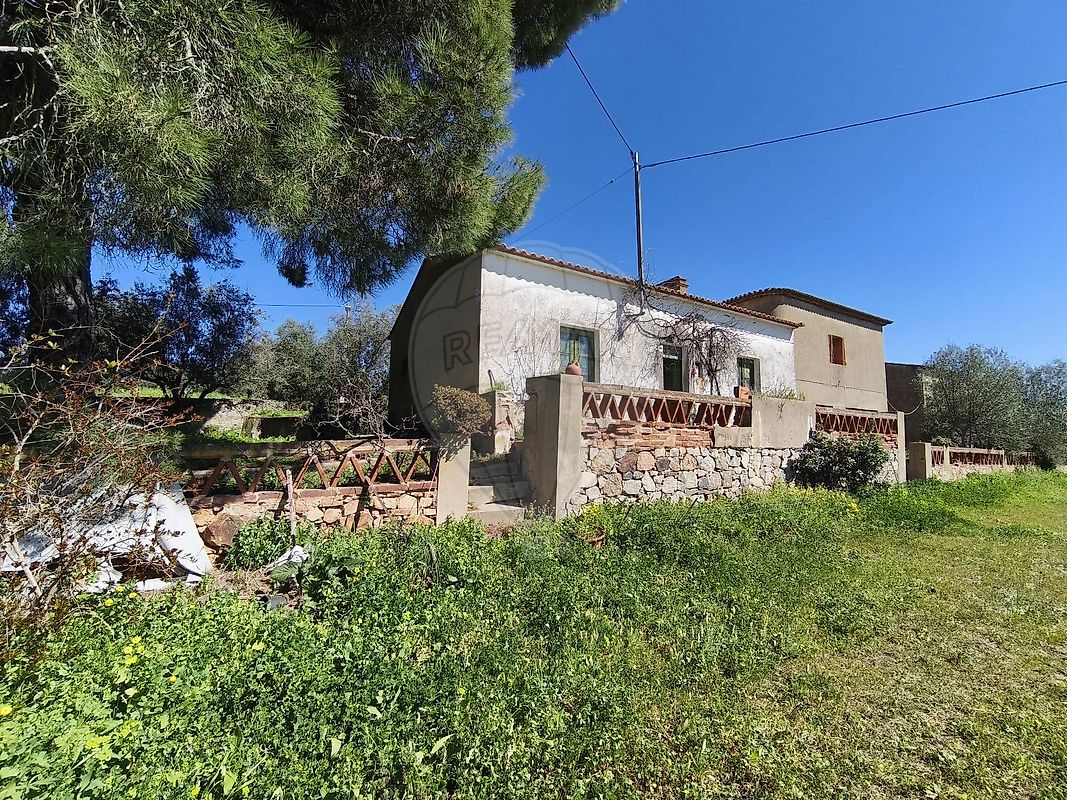 Quinta - Vidigueira, Vidigueira, Beja