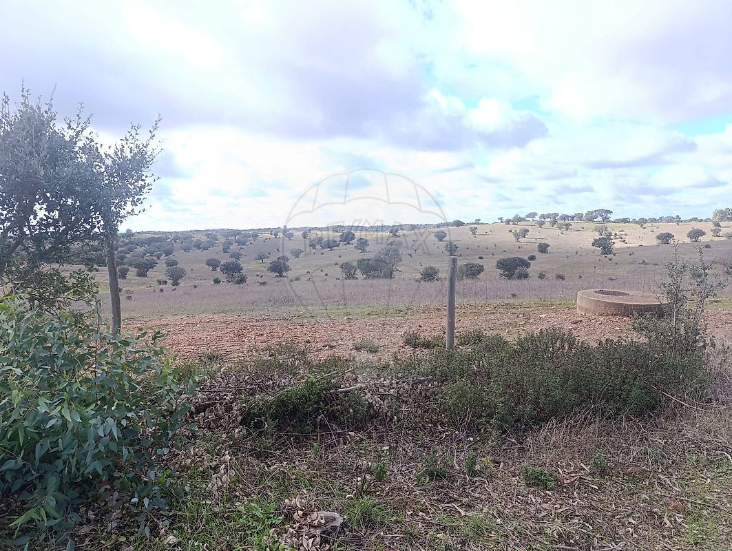 Terreno - Mértola, Mértola, Beja