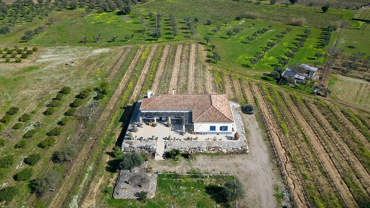 Quinta - Vila de Frades, Vidigueira, Beja